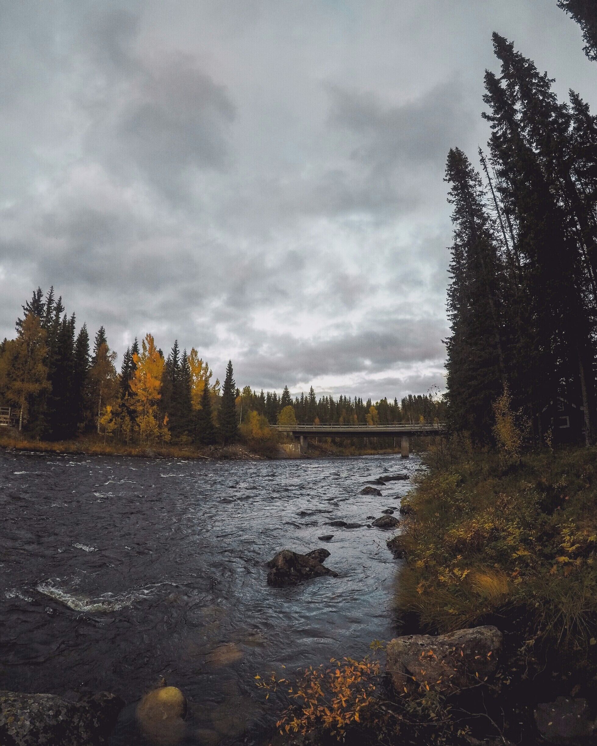 A river flowing under a bridge with autumn-colored trees and a cloudy sky.