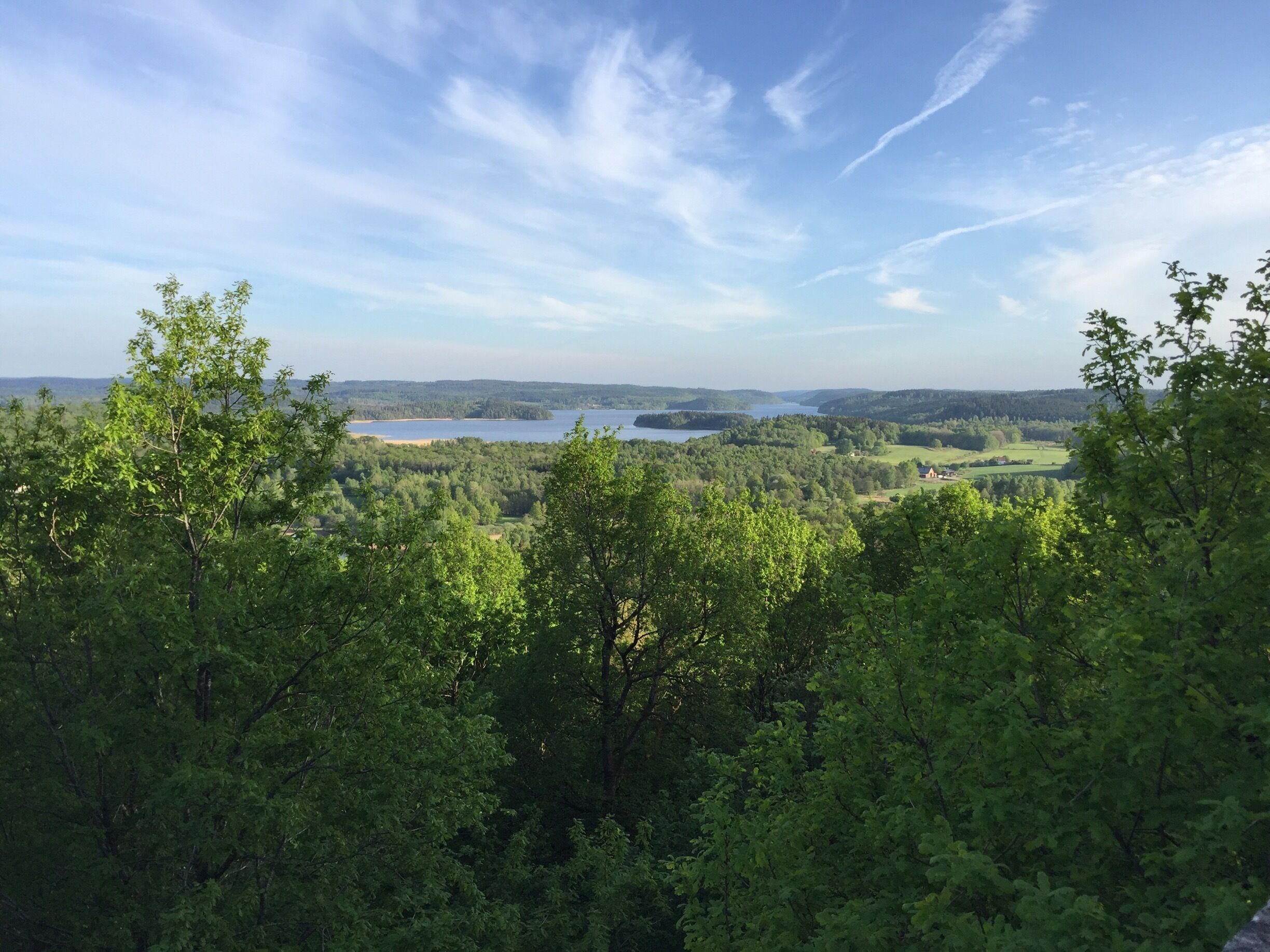 A dense forest with a lake and distant hills.