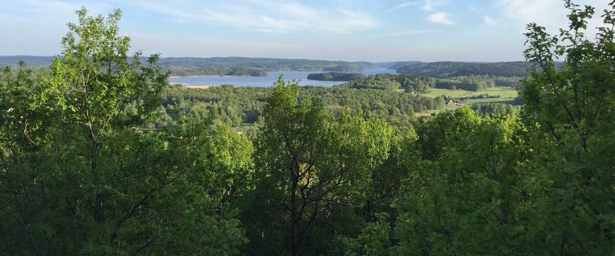 A dense forest with a lake and distant hills.