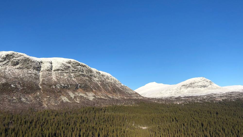 A stunning view of snow-capped mountains under a clear blue sky, with a vast green forest stretching out below. This peaceful wilderness scene captures the beauty of Sweden’s natural landscape