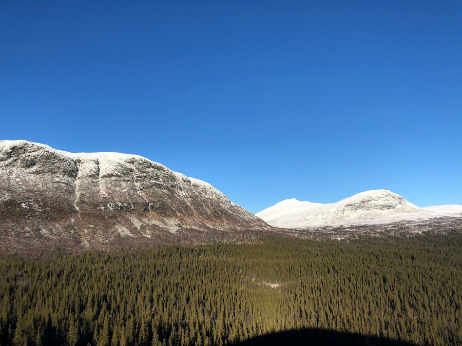 A stunning view of snow-capped mountains under a clear blue sky, with a vast green forest stretching out below. This peaceful wilderness scene captures the beauty of Sweden’s natural landscape