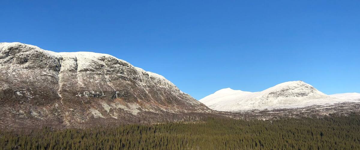 A mountain range with snow-capped peaks and a dense forest at the base.