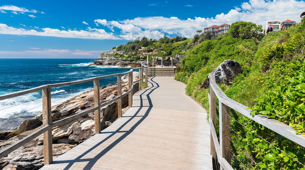 Beautiful coast of Bondi, Australia