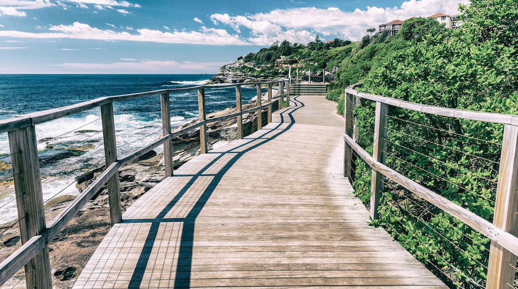 Bondi Beach, Sydney