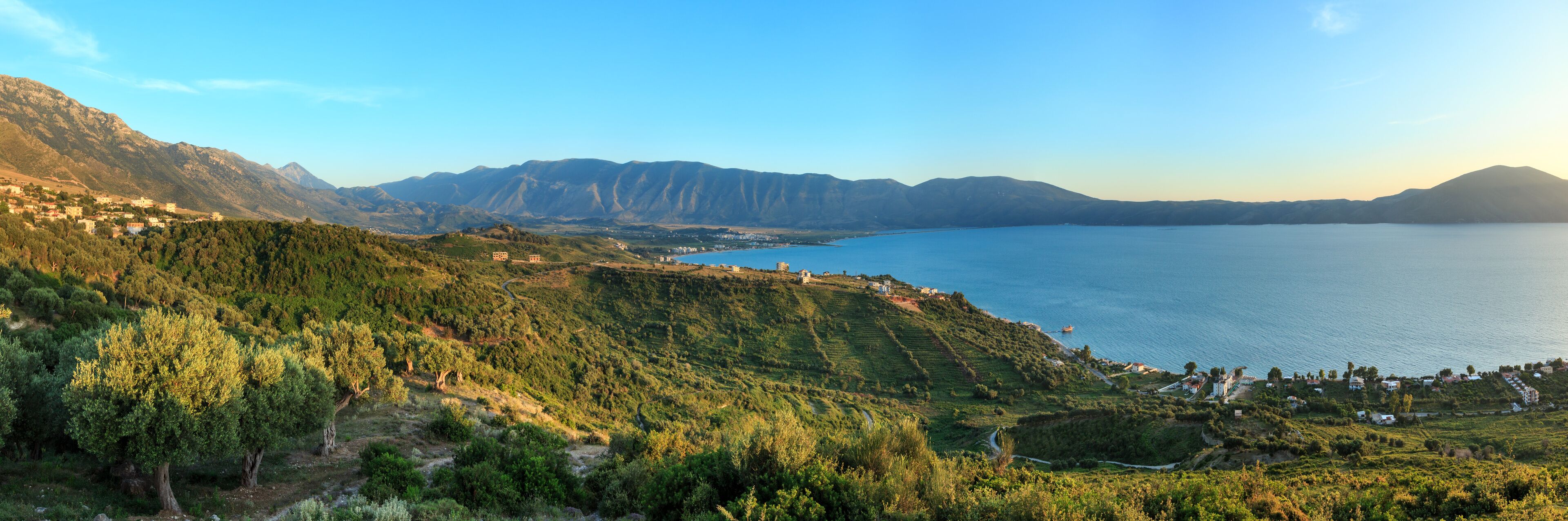 A coastal landscape with olive groves, a village, and mountains in the background.