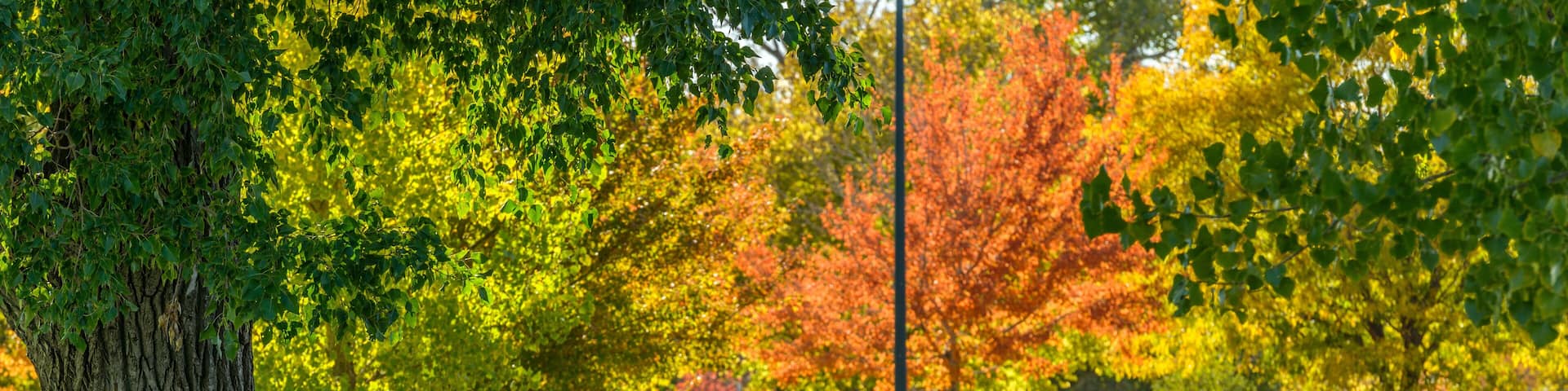 Autumn City Park - A sunny autumn afternoon view of a quiet running trail winding in a city park, Denver/Lakewood, Colorado, USA.
