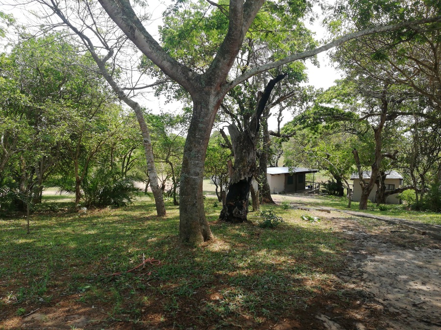 The tranquil and birdlife found here is Amazing 😍❤️ One guest review said that more then 40 birds where spotted while having a morning cup of coffee
#kingfisherbushlodge
#kosibaysouthafrica
#thekosiexplorer
#theplacetosee
#theplacetobe
#theplacetoexplore
#adventure
#travelislife