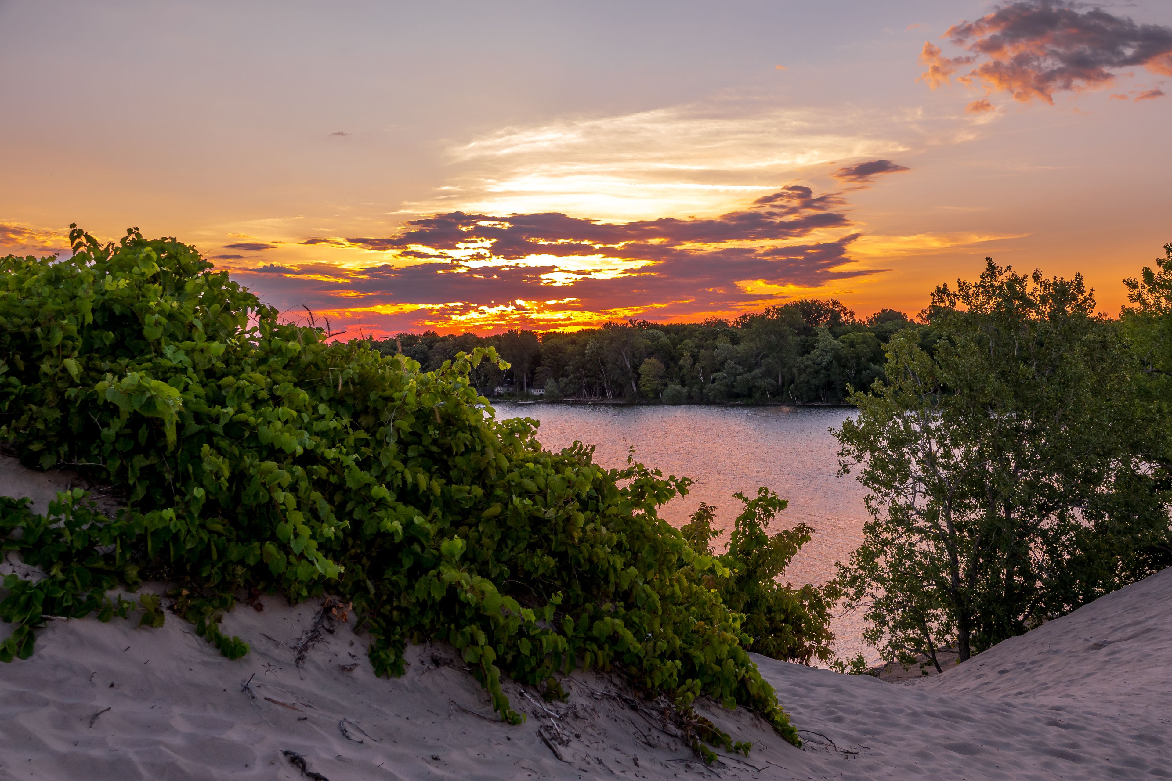 Un atardecer sobre un lago con árboles en primer plano y una playa de arena.