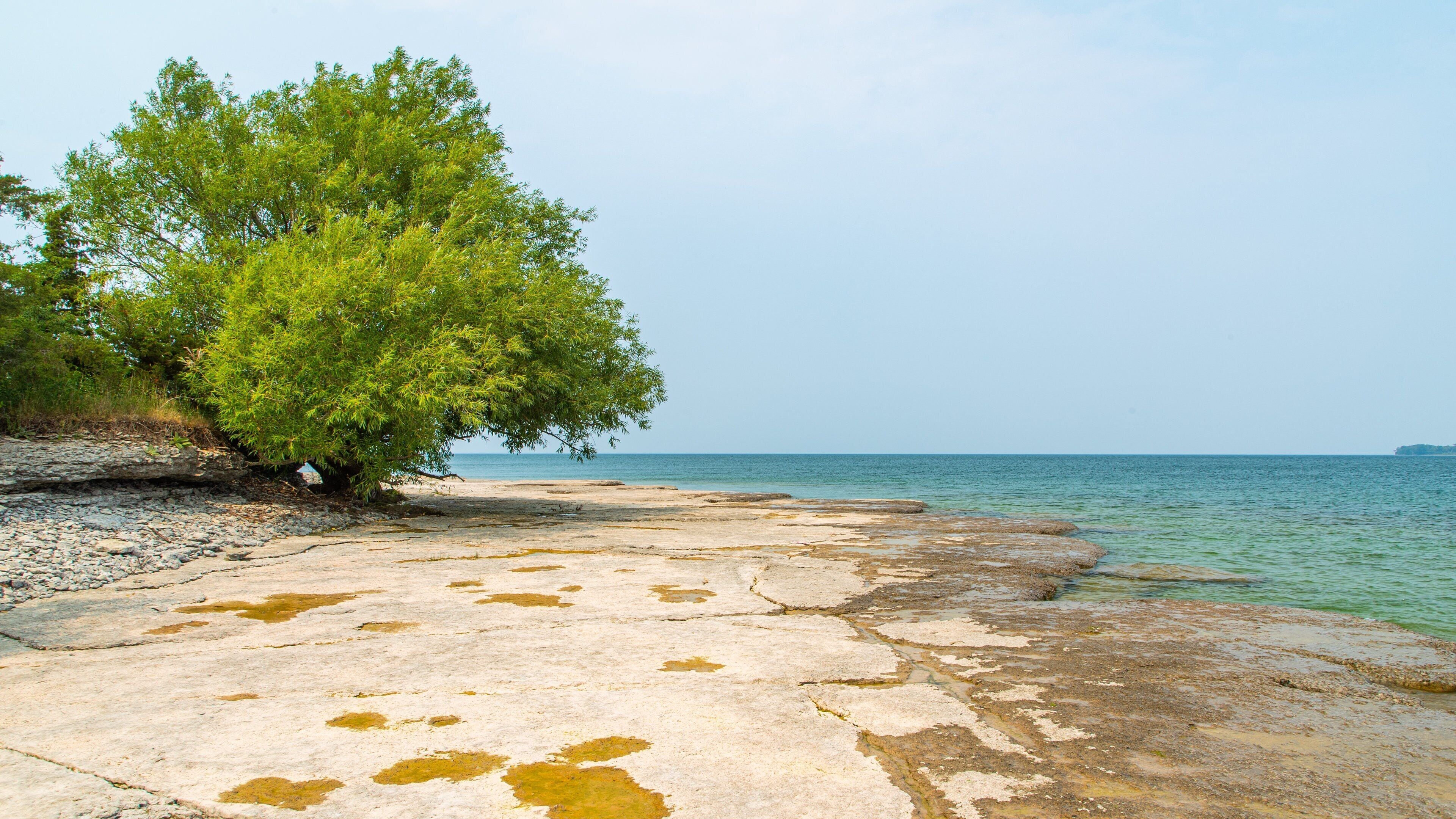 Prince Edward featuring general coastal views