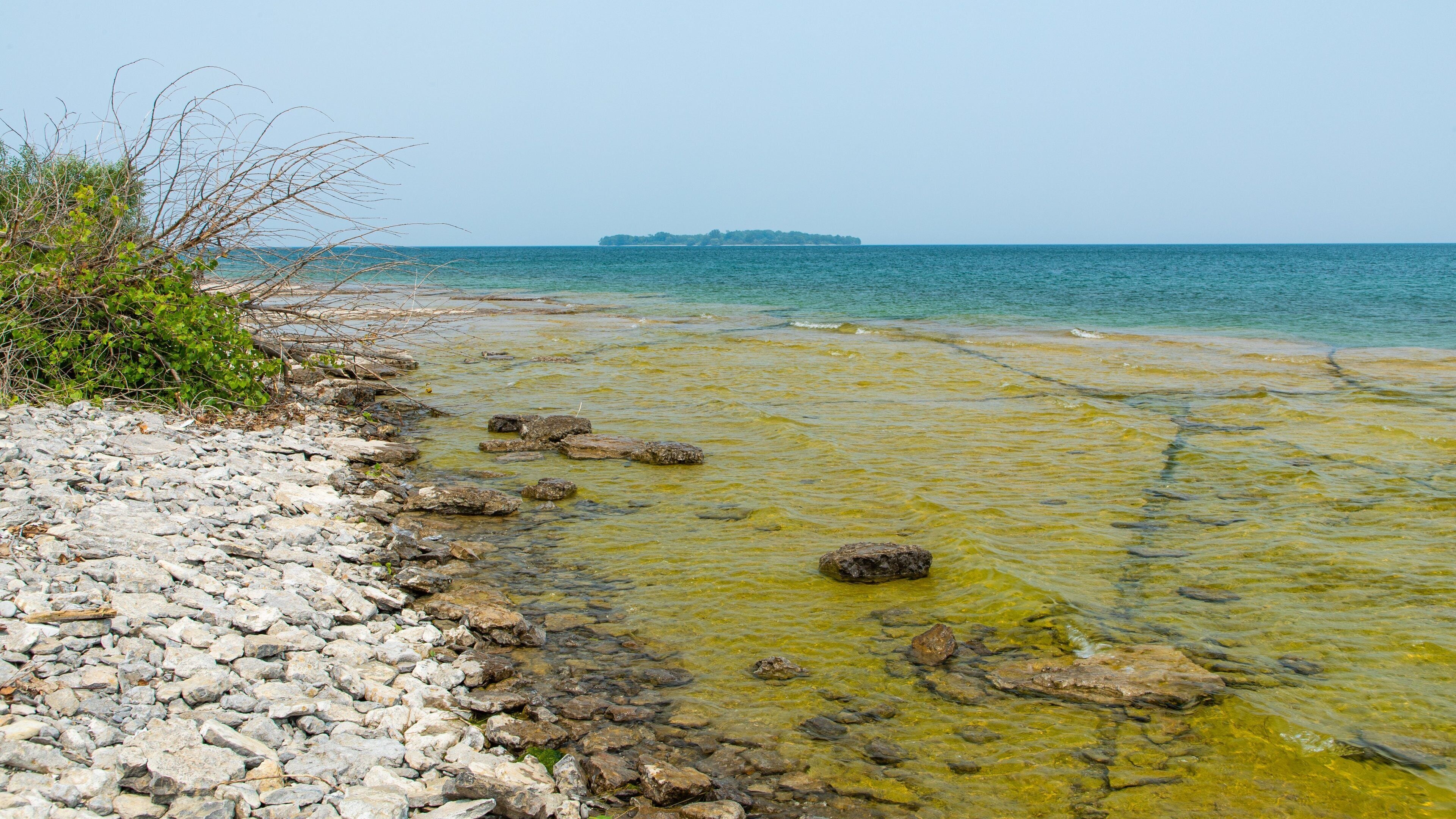 Prince Edward featuring a pebble beach and general coastal views