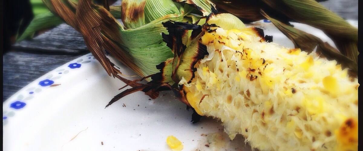 A partially eaten corn cob on a white plate with blue floral patterns.