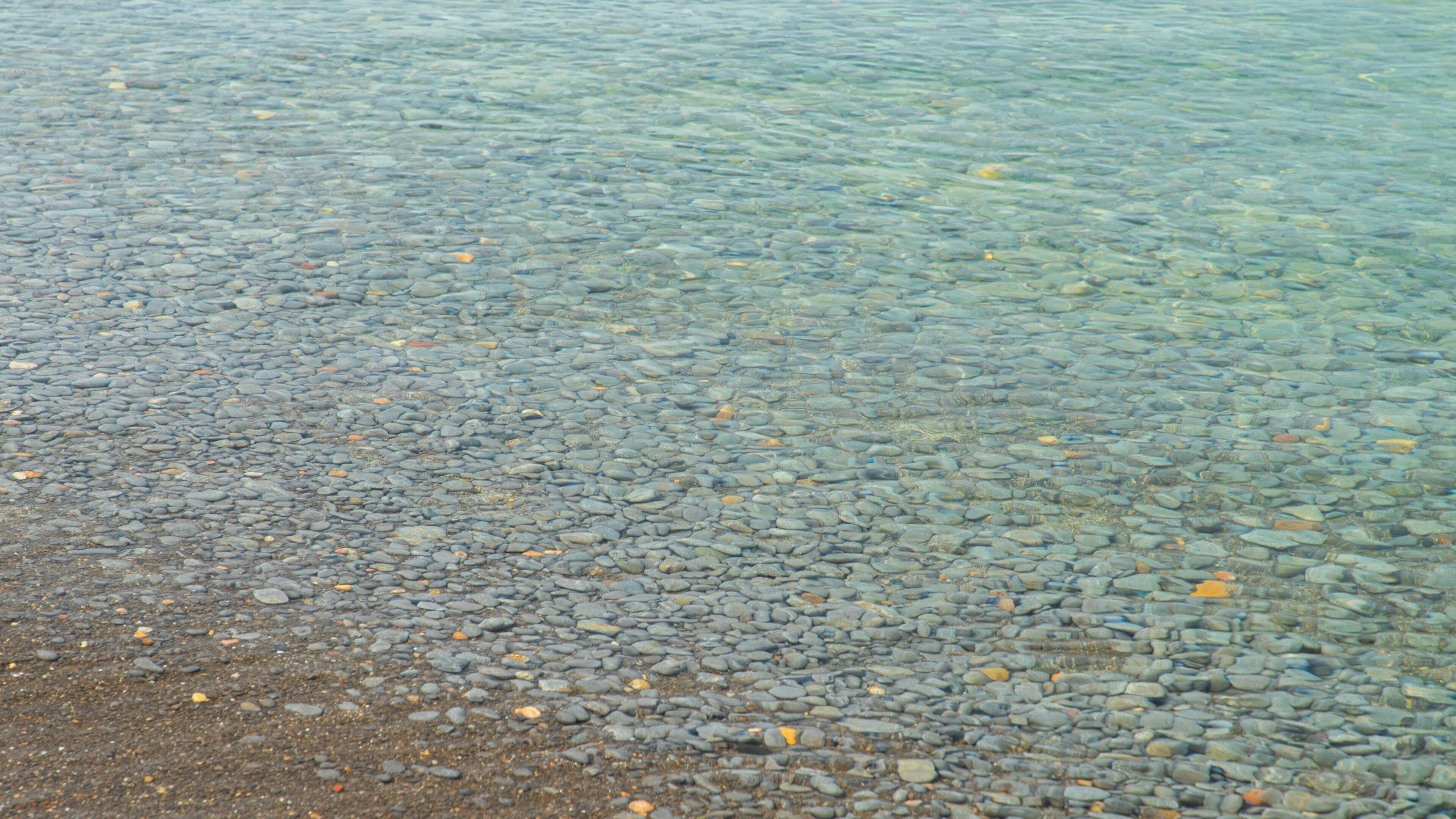 Prince Edward which includes general coastal views and a pebble beach