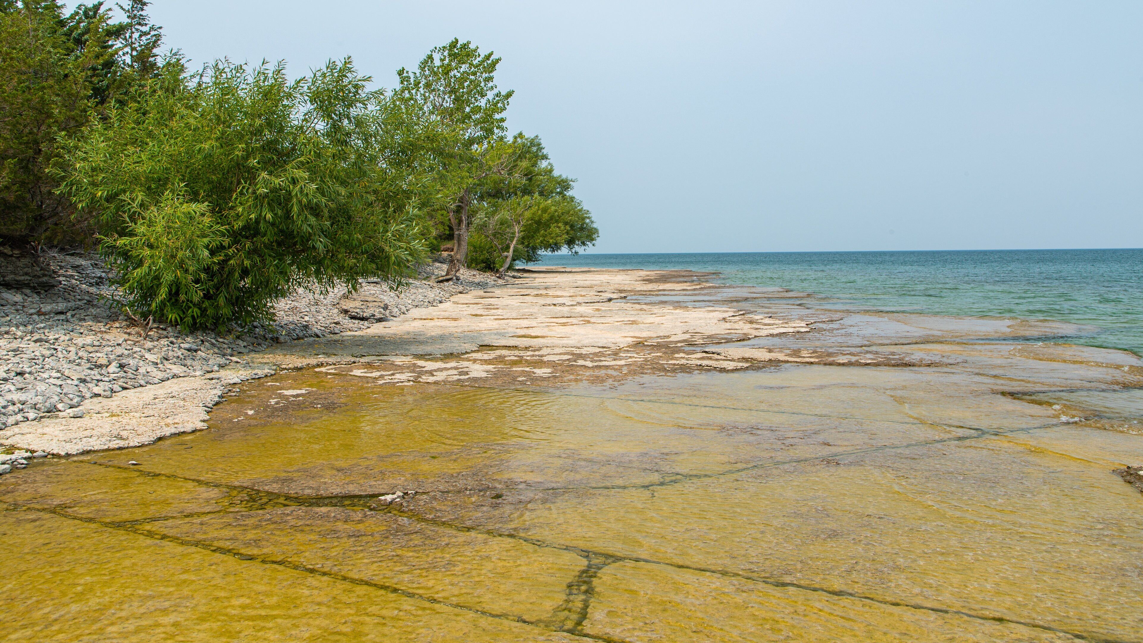 Prince Edward featuring general coastal views