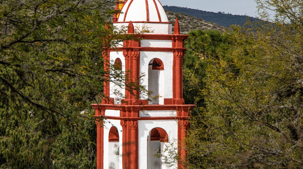 Vista de la Torra de la Iglesia Templo del Santuario de Guadalupe en Armadillo de los Infante San Luis potosí México