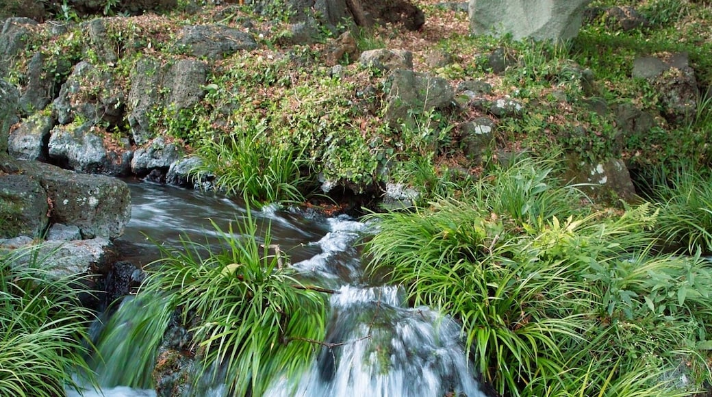 1 Miyachō, Fujinomiya-shi, Shizuoka-ken 418-0067, Japan