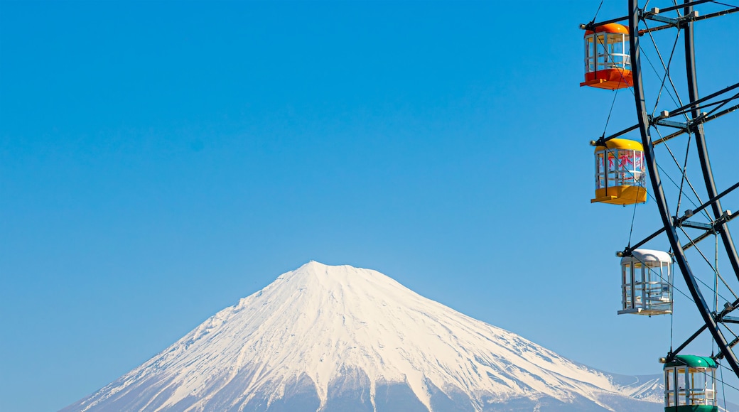 大観覧車フジスカイビュー