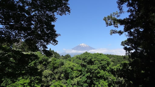 富士山(ふじさん、英語:Mount Fuji)