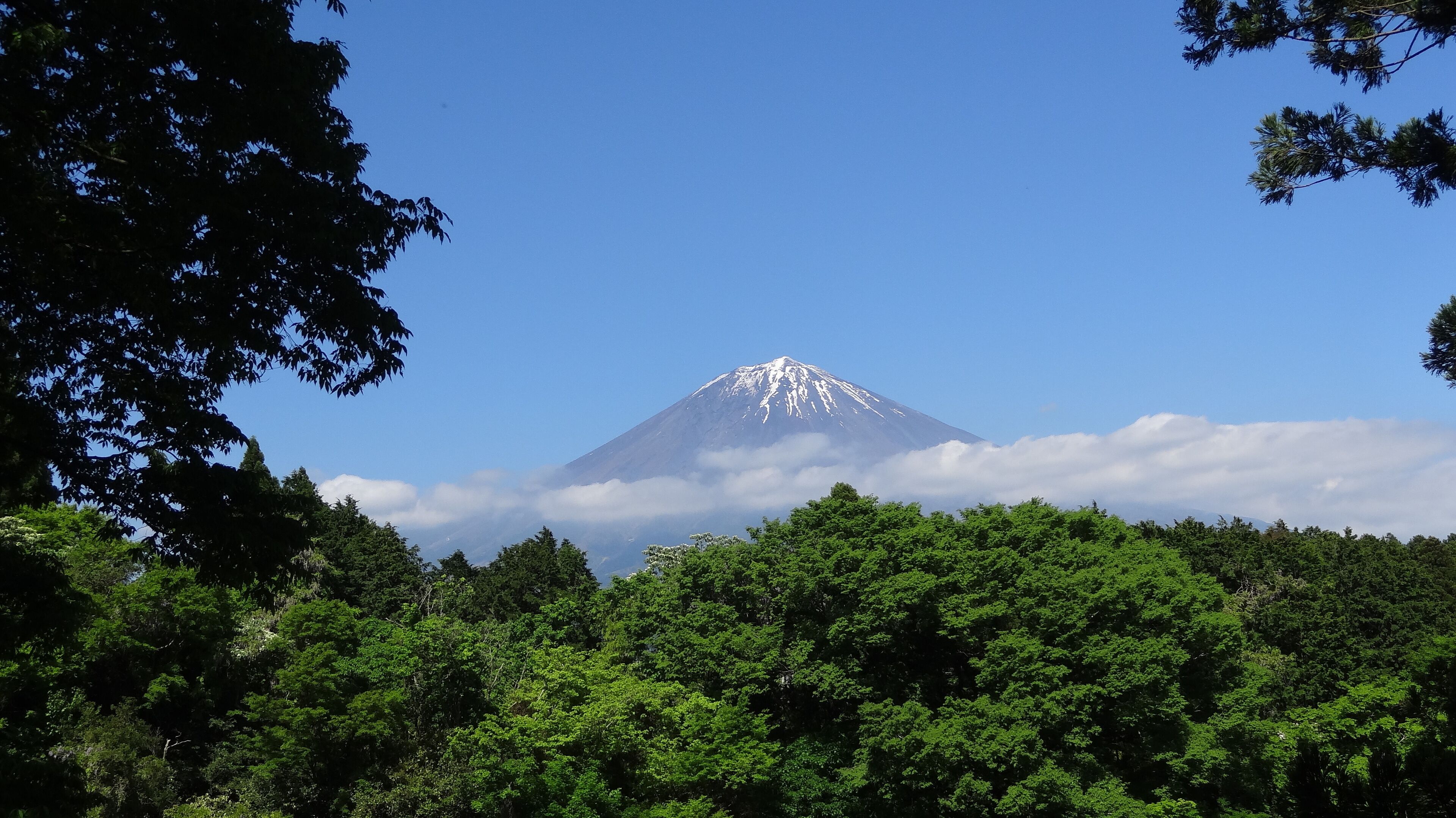 富士山（ふじさん、英語：Mount Fuji）