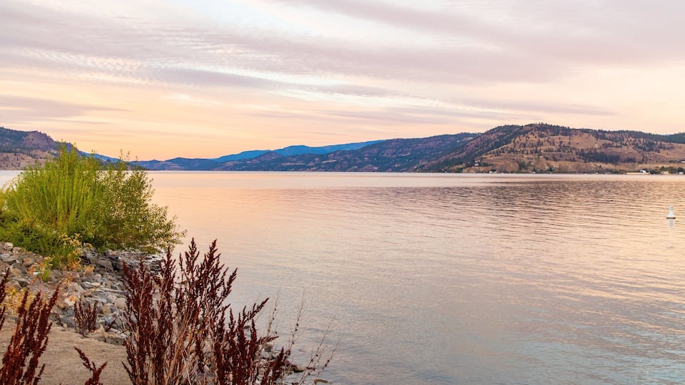 A calm lake with mountains in the background and some vegetation in the foreground.