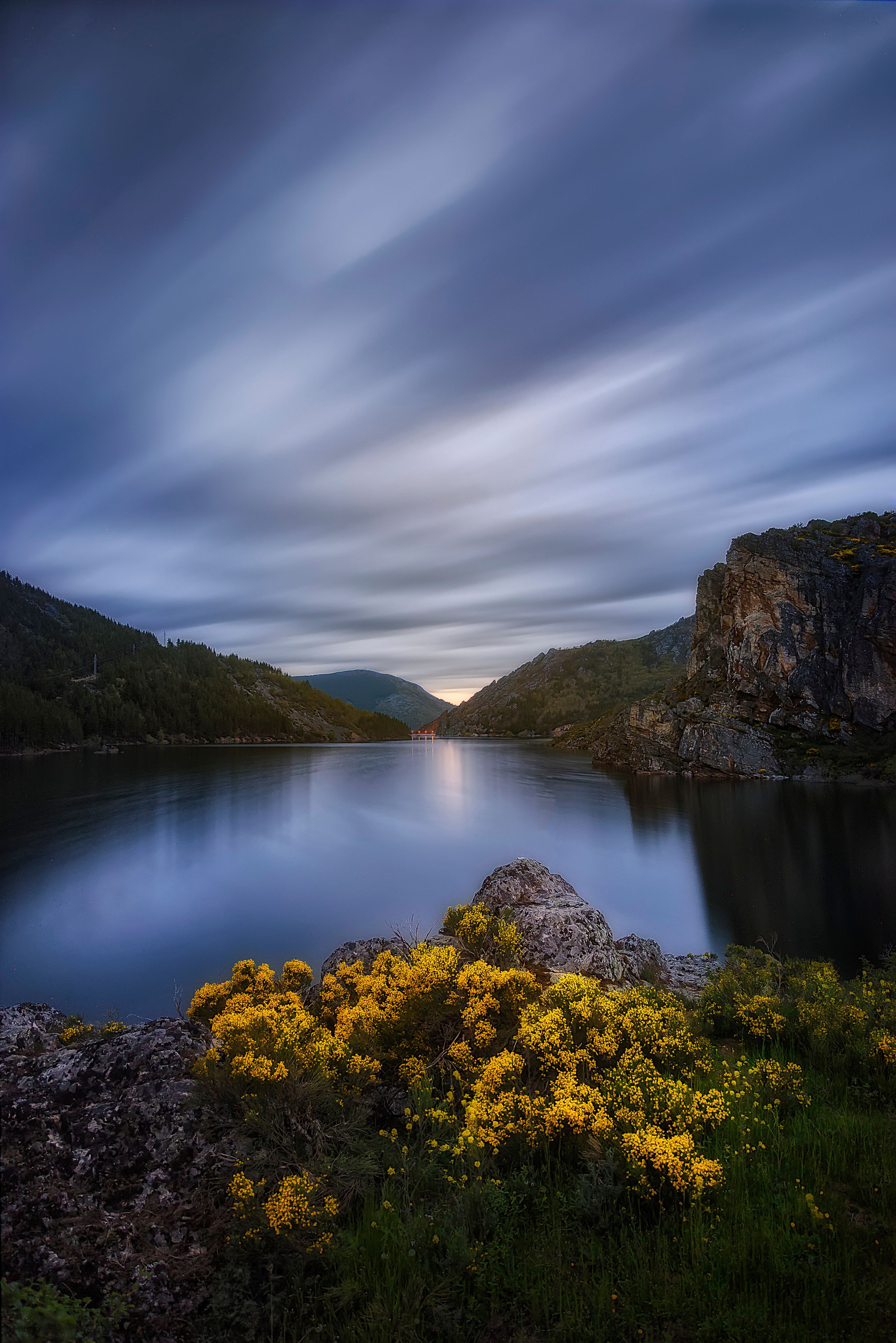 A calm lake surrounded by mountains and a rocky outcrop with yellow flowers in the foreground.