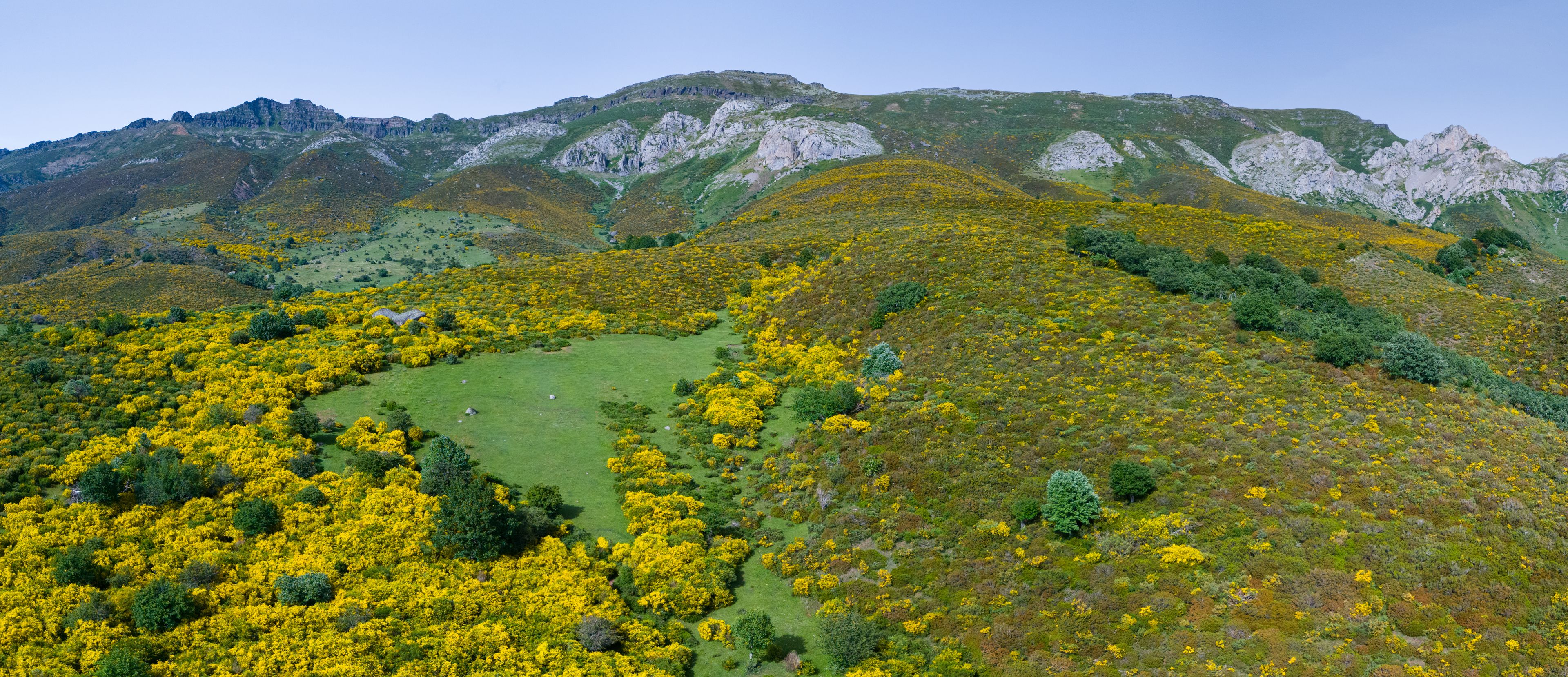 A mountainous landscape with a valley filled with yellow flowers and green grass.