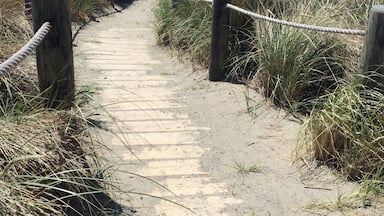 Good place for surfing!