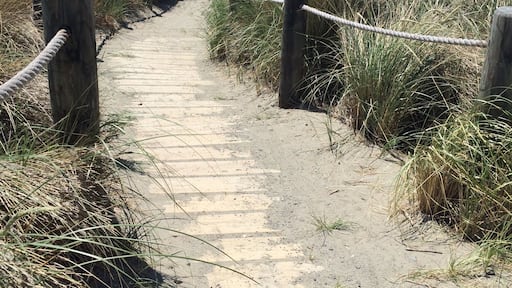 Good place for surfing!