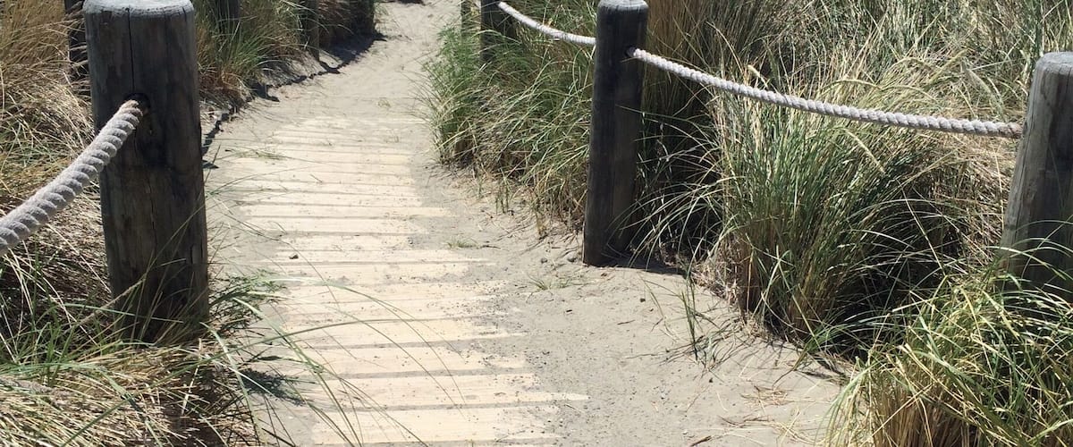 A sandy path leading to the beach with wooden posts and ropes.
