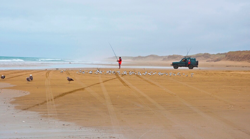 You can ride by car 90-miles along ocean coast, but be fast and careful - you can left your car under water during water onflow.
#blue