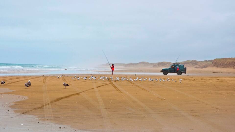 A beach with a person fishing, a vehicle, and seagulls.