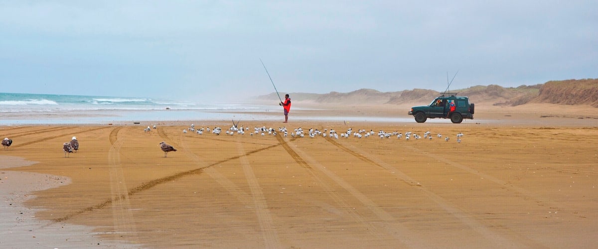 A beach with a person fishing, a vehicle, and seagulls.