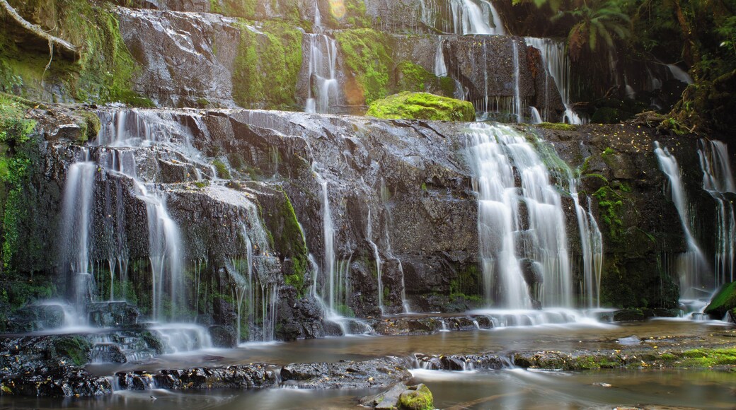 An easy hike that opens up to the waterfall you never expect on such a hike in this area. The crowds are few and good areas to play around with different views. #Adventure