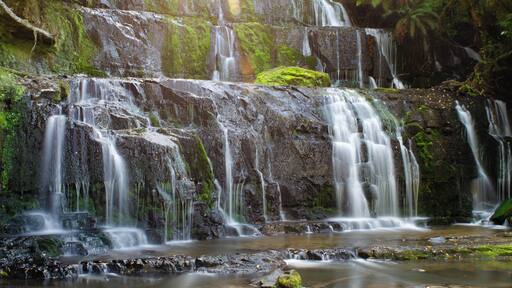 An easy hike that opens up to the waterfall you never expect on such a hike in this area. The crowds are few and good areas to play around with different views. #Adventure