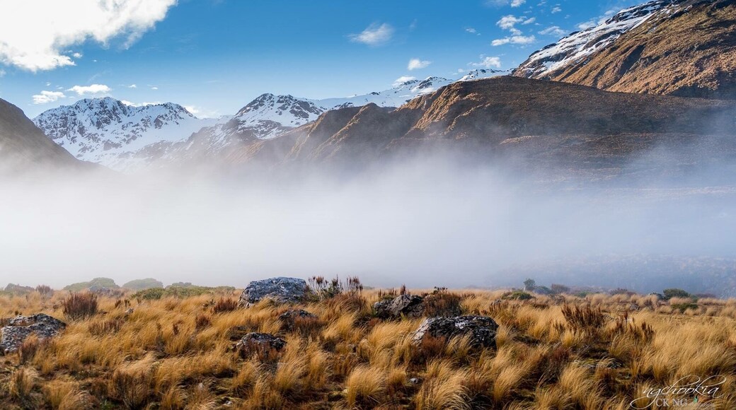 Misty II Otira- NZ
"人生過客匆匆,相機抓住每個剎那,與我擦肩而過的人和事"