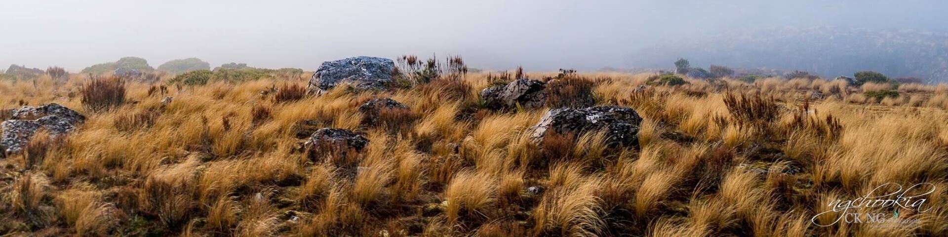 Misty II Otira- NZ
"人生過客匆匆,相機抓住每個剎那,與我擦肩而過的人和事"