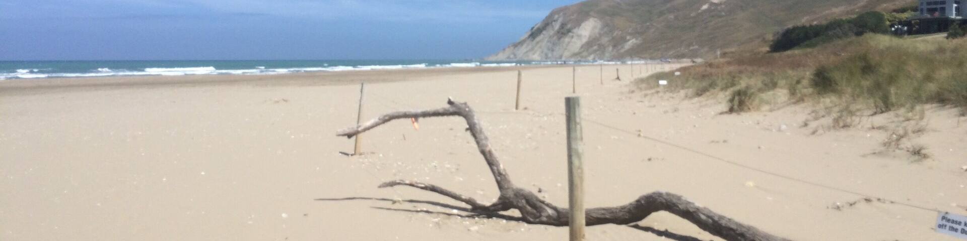 Picture tells it all, well except for the silky smooth sand. This photo was taken in the peak of summer holidays (3 Jan 2015). On the coast road between Waipukurau and Masterton.
Beautiful sandy beach made for sand castles, fishing, walking, blow carts, etc including annual Easter races and the odd Polo game.