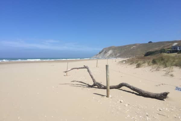 Picture tells it all, well except for the silky smooth sand. This photo was taken in the peak of summer holidays (3 Jan 2015). On the coast road between Waipukurau and Masterton.
Beautiful sandy beach made for sand castles, fishing, walking, blow carts, etc including annual Easter races and the odd Polo game.