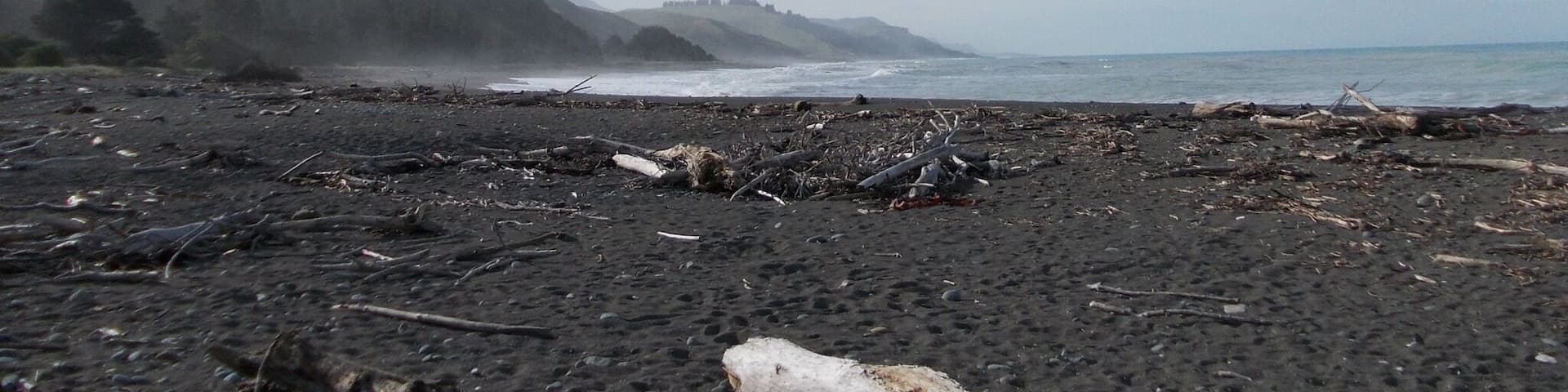 It was windy, sunny and just beautiful.