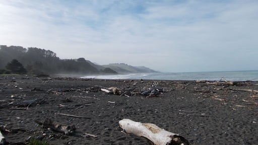 It was windy, sunny and just beautiful.