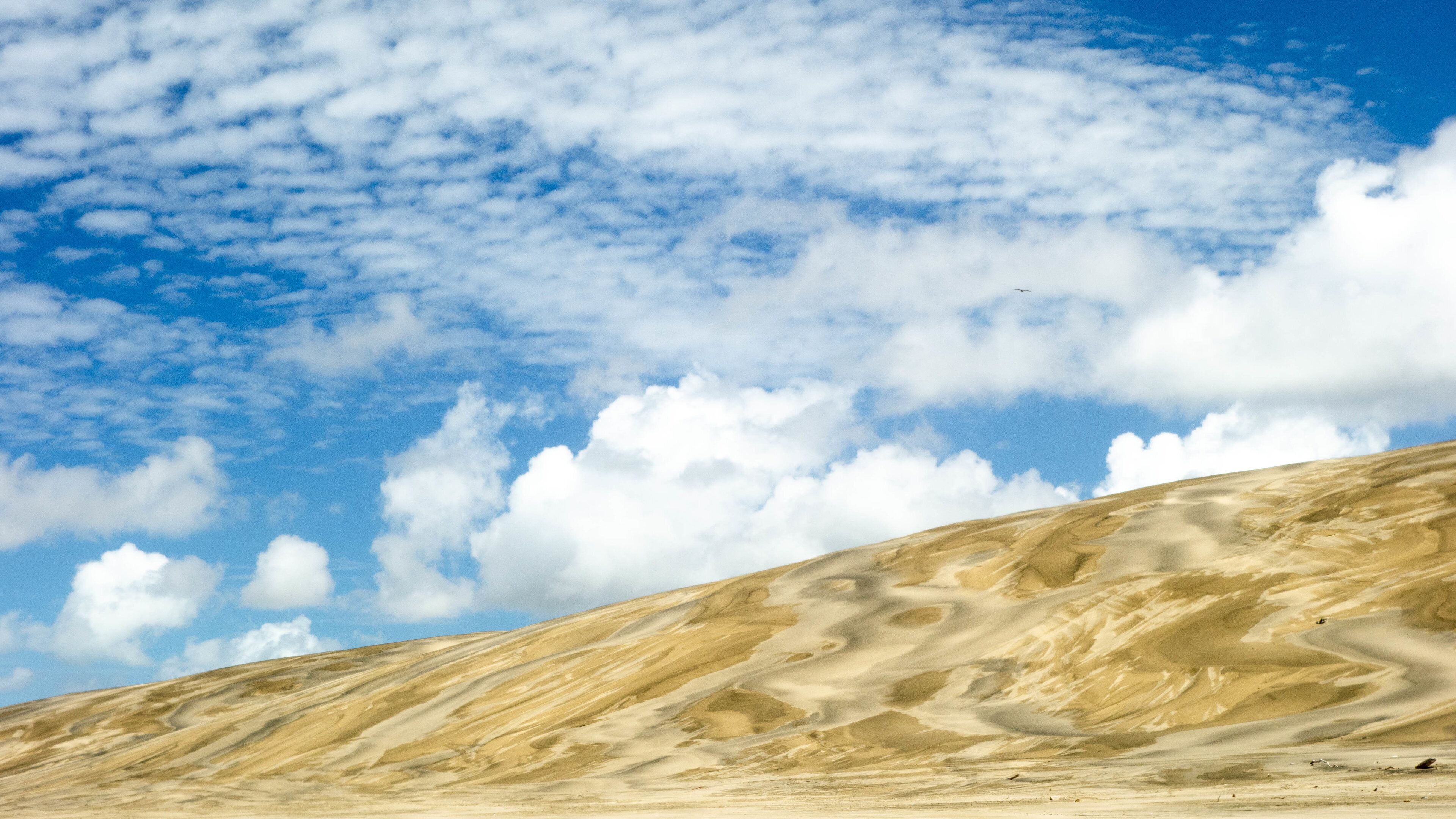 Pouto featuring a beach