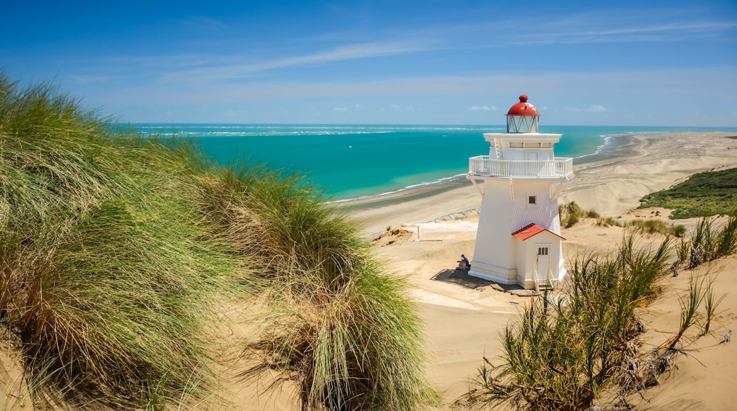 Pouto which includes general coastal views, a beach and a lighthouse