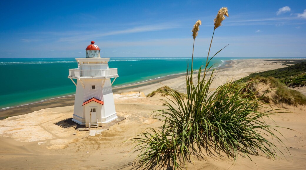 Pouto which includes general coastal views, a lighthouse and a sandy beach