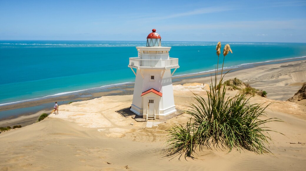 Pouto featuring a lighthouse, a sandy beach and general coastal views