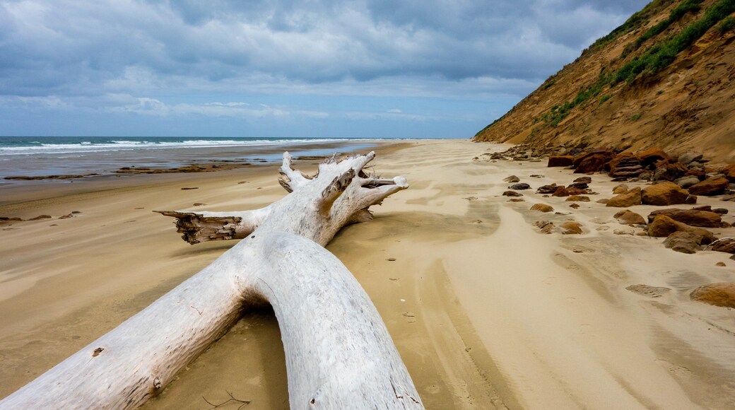 Pouto featuring a beach and general coastal views