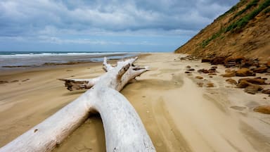 Pouto featuring a beach and general coastal views