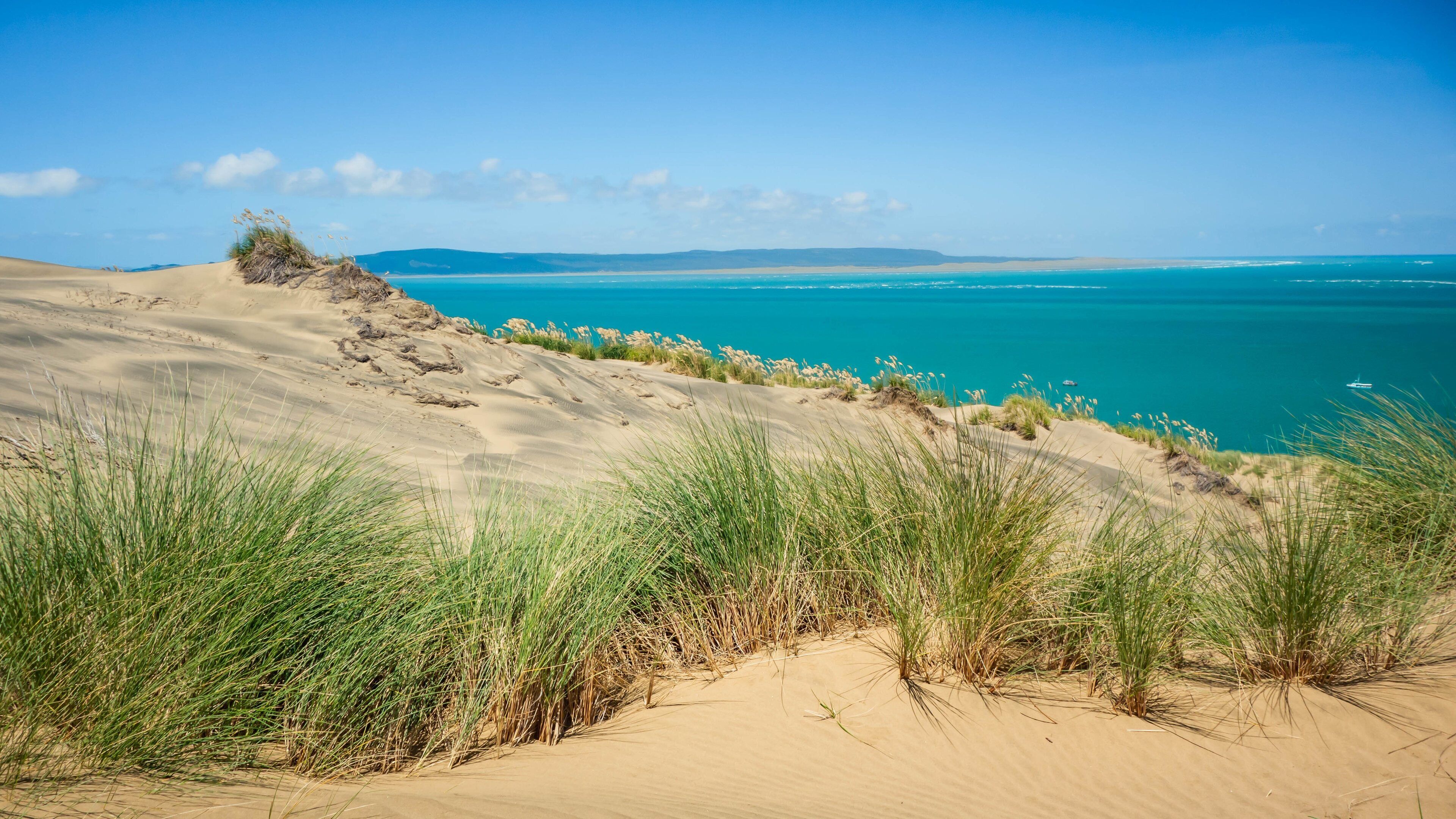 Pouto showing a sandy beach and general coastal views