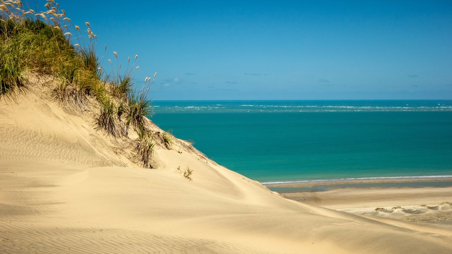 Pouto which includes a sandy beach and general coastal views