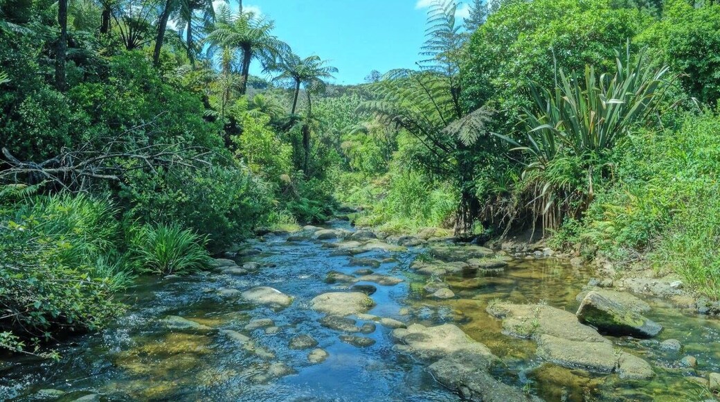 It's hard not to love nature in New Zealand. This one was taken during our coffee brake at Owharoa Falls.
#Green