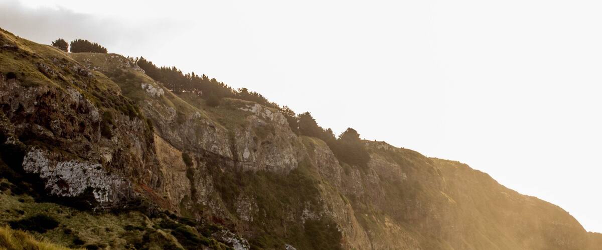 A coastal beach with a rocky cliff and grassy areas.