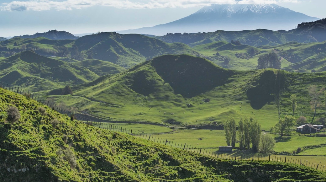 New Zealand State Highway 43 is also known as the Forgotten World Highway. Built on colonial horse trails formed in the late 19th century, the highway is remote and mysterious. The highway spans 149 km between Stratford and Taumarunui. There are hardly any services along the highway, and no gas pumps, but the views along the road as it climbs up and down three different mountain saddles are amazing!